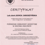 Sonia Jaroszynska certyfikat-4